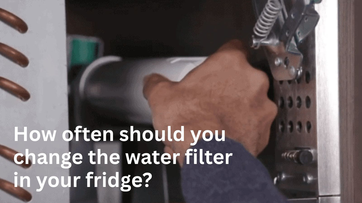 how often should you replace refrigerator water filter