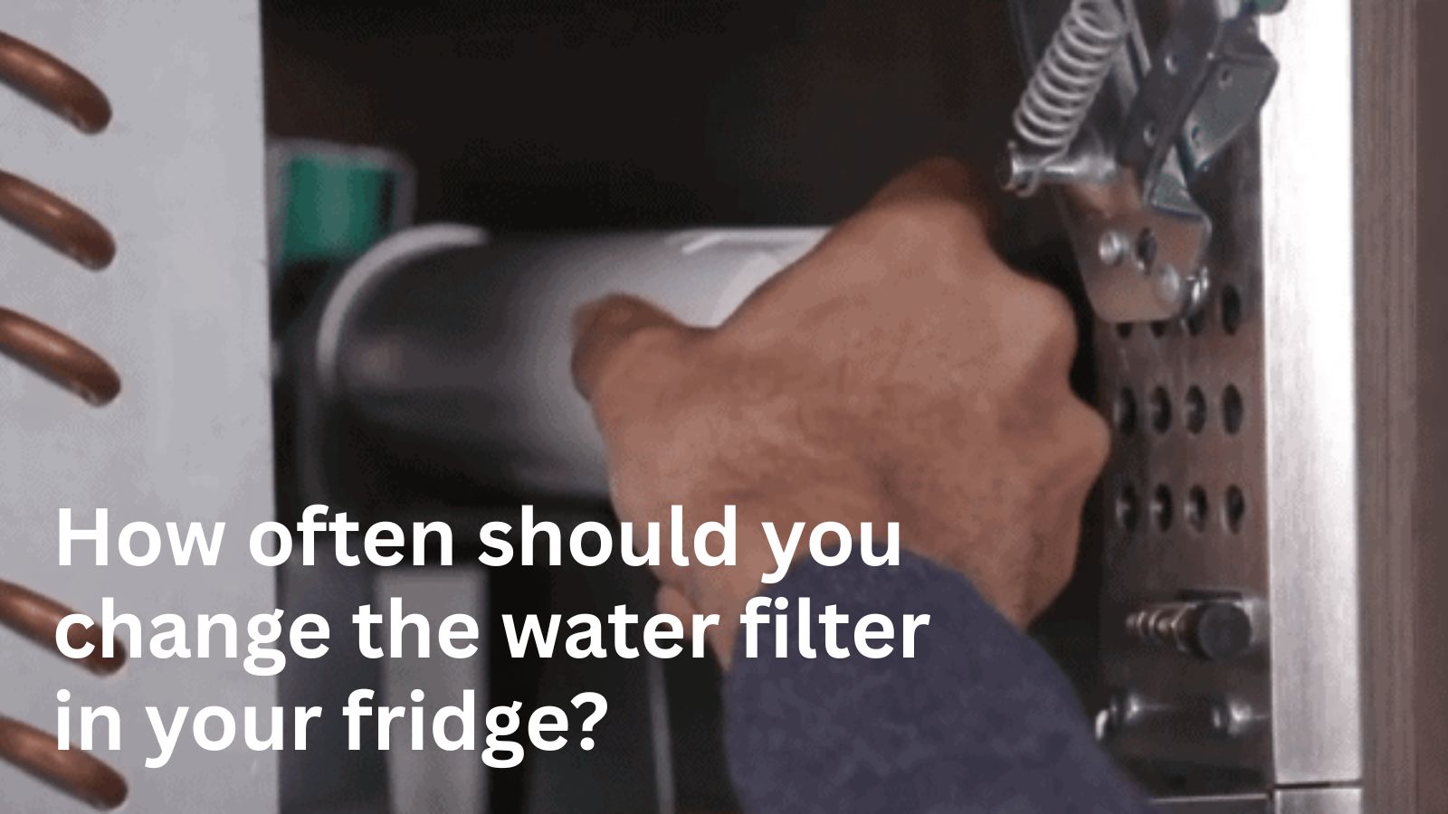 How often should you replace refrigerator water filter in your fridge?