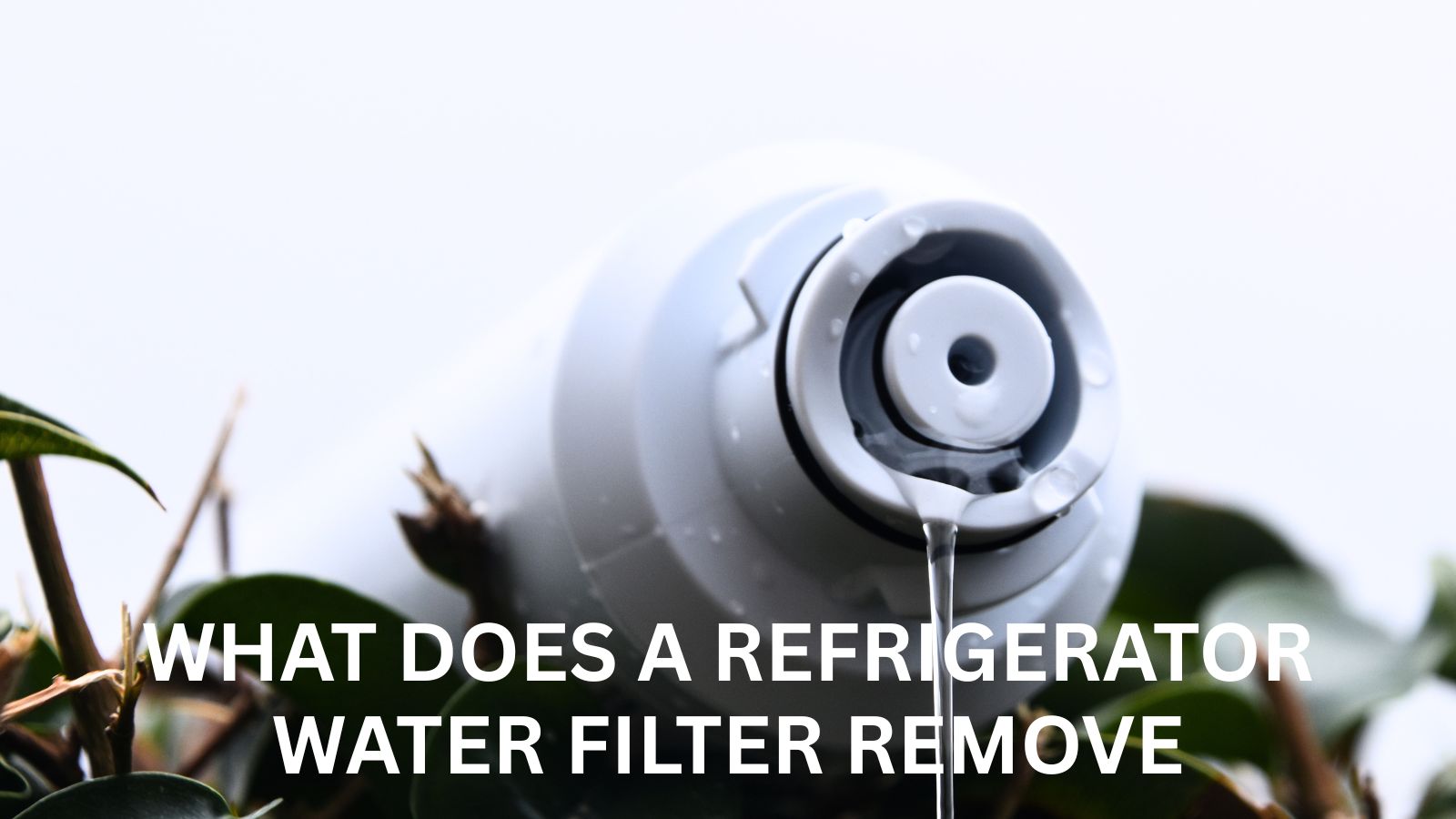 what does a refrigerator water filter remove